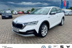Skoda Octavia Scout combi 2 0 tdi scout 4×4 dsg hud standhzg ahk