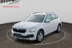 Skoda Kamiq Selection selection shz/kamera/pdc