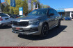 Skoda Kamiq Monte Carlo kamiq monte carlo 150ps dsg ahk schwenkbar ?..