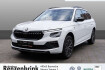 Skoda Kamiq Selection 1.0 tsi selection dsg ahk+winter+matrix+rfk