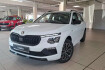 Skoda Kamiq  tour 116ps ahk/black/matrix/kamera/eph