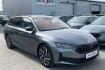 Skoda Octavia Sport 2.0 tdi sportline dsg matrix*winter*5j.g