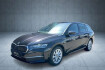 Skoda Octavia Selection combi 2.0 tdi dsg selection /ahk