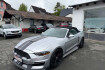 Ford Mustang Fastback GT Mustang gt convertible us import