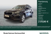 Skoda Karoq Selection 1.5 selection cam acc navi lm17 carplay