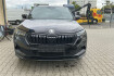 Skoda Karoq Sport sportline pano navi matrix acc dcc kessy 110 kw?