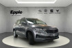 Skoda Karoq Selection selection 1.5 tsi navi led shz pdc kamera smartlin