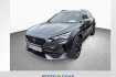 Cupra Formentor  vz 2.0 tsi dsg ? pano ? full link ?