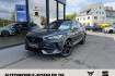 Cupra Formentor  vz 2.0 tsi 19 »lm pano sitzheizung navi