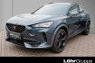 Cupra Formentor  vz 2.0 tsi 4drive 19? acc beats navi sitzheizung