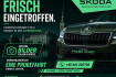 Skoda Karoq Tour tour