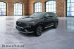 Hyundai Santa Fe Signature Santa fe 2.2 crdi signature 4wd 5 sitzer(e6d) lm