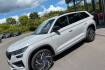 Skoda Kodiaq RS rs 4×4 eahk 20&prime; kamera columbus dcc lane