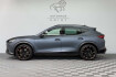 Cupra Formentor BAT vz5 4drive|2.hand|schale|acc|dcc|360 |