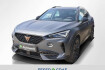 Cupra Formentor Tribe Edition vz 2.0 tsi 4dr tribe edi ahk akra pano