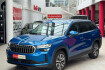 Skoda Kodiaq Selection 2.0 td 4×4 selection matrix+sitzhzg+dab