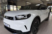 Ford Capri Premium 250 kw dual motor awd premium