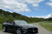 Ford Mustang Fastback GT Mustang gt convertible/klappe/digital/kamera/eu/