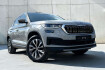 Skoda Kodiaq Style style 4×4 led 1erh ahk sth