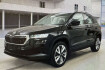 Skoda Karoq Selection selection 1 5tsi acc autom led shz pdc