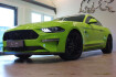 Ford Mustang Fastback GT Mustang 5.0 v8 gt~deutsch+unfallfrei+nur 8tkm~1h