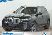 BMW X5  0e m sport intaktivl.panod.soft sitzbel.ahk