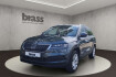 Skoda Karoq Ambition ambition