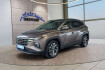 Hyundai Tucson N Line 1.6 crdi aut.voll led/ahk/navi/el.klappe