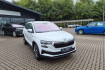 Skoda Karoq Tour tour