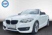 BMW Série 2 Coupé Advantage Bmw 220  220 i cabrio aut advantage led h&k navi shz pdc