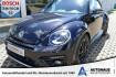 Volkswagen New Beetle Exclusive R-Line Beetle cabrio r line exclusive black abt 19? dsg