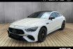 Mercedes AMG GT  benz amg gt  benz amg gt amg gt 53 4m+ verkauf nur an gewerbe!/pano/21?