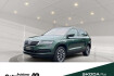 Skoda Karoq Drive 125 drive 125 110kw tsi dsg *ruckfahrkamera*navi