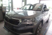 Skoda Karoq Tour 1.5 tsi dsg tour ruckkam/acc/multilenk