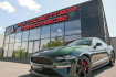 Ford Mustang Fastback Bullitt Mustang 5.0 v8 bullitt *recaro schalensitze !*