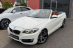 BMW Série 2 Coupé Luxury Line Bmw 220  220 cabrio 220 d luxury line*navi*led*hifi*leder*top