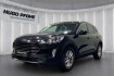 Ford Kuga Titanium titanium 1.5 ecoblue | led | gjr | dab | winter pa