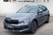 Skoda Kamiq Selection 1.0 tsi dsg selection