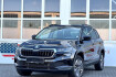 Skoda Karoq Selection selection drive automatik acc ahk cam pdc