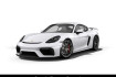 Porsche Cayman  718 gt4 sportabgasanlage nur 19.550 km