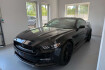 Ford Mustang Fastback  Mustang 5.0 v8 gt fastback 50 years edition