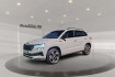 Skoda Karoq Sportline 1.5 tsi act sportline 4xshz acc ahk matrix