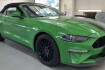 Ford Mustang Fastback  Mustang cabrio gt convertible 5.0 v8 carbon