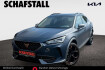 Cupra Formentor  vz 2.0 tsi dsg pano memory navi kamera sitzheiz.