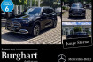 Mercedes EQB Autres Benz glb 250 glb 250+ eq progressive/panodach/fahrassistenz led