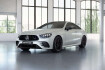Mercedes E53 AMG Autres Benz e 53 amg 4m coupe amg sport+burm+pano+memo+night