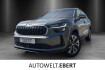 Skoda Kodiaq Selection selection 2 0 tdi 142 kw dsg 4×4/ahk/led