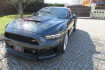 Ford Mustang Fastback GT Mustang gt 600 roush stage 3 sportwagen