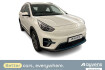 Kia e-Niro Vision E niro e niro