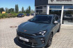 Cupra Terramar Autres 2.0 tsi 150 kw 4drive ganzjahresreifen leder 360  kamera ahk aac acc pano /schiebedach